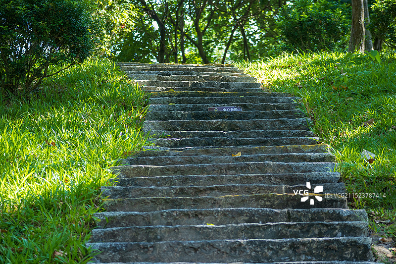 清晨公园里阳光照射在草地和台阶上图片素材