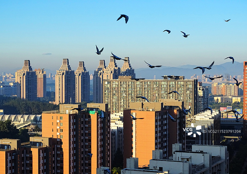 飞在晨光里图片素材