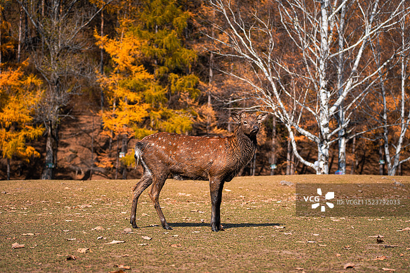 DSC08696图片素材