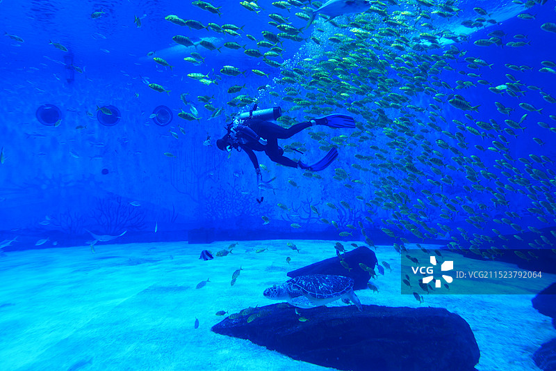 海洋馆图片素材