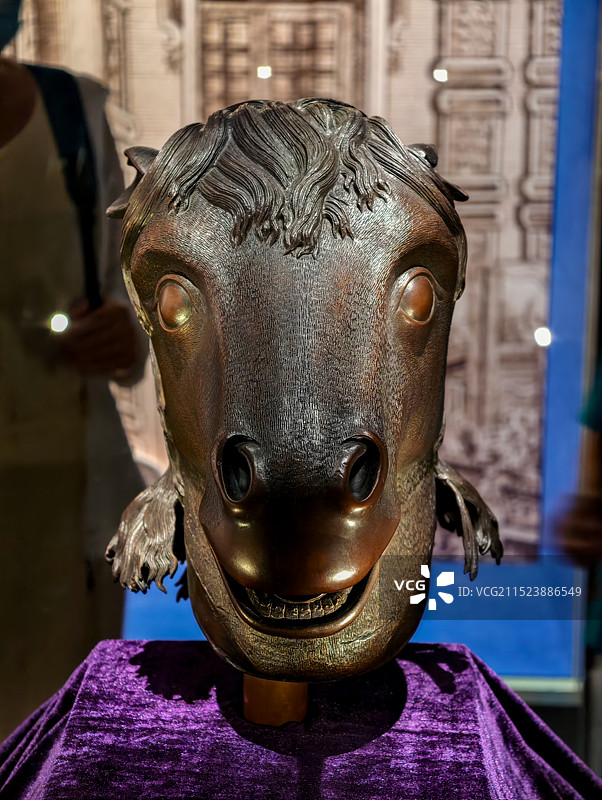 博物馆中陈列的十二生肖兽首马首图片素材