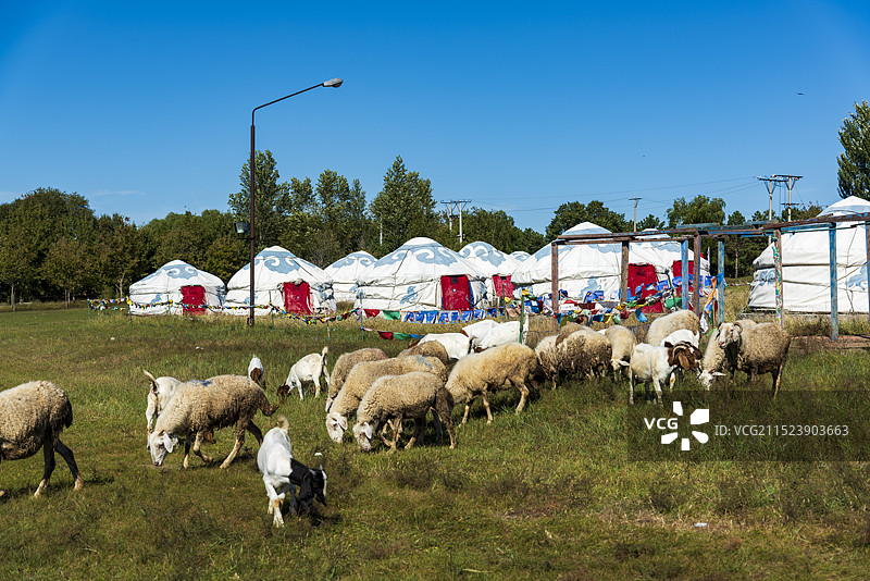 大庆杜尔伯特蒙古族自治县博物馆图片素材