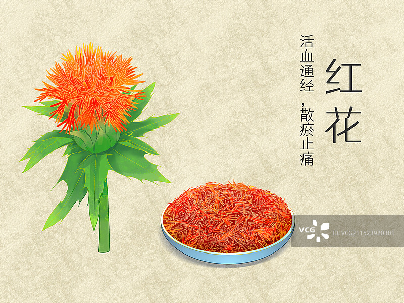 手绘水彩中药药材红花插画图片素材