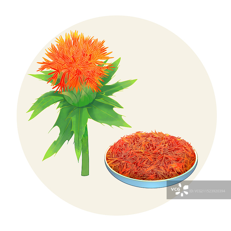 手绘水彩中药药材红花图片素材