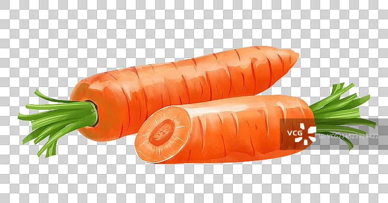 胡萝卜插画元素图片素材