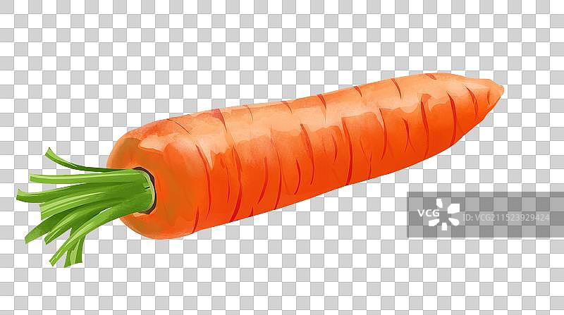 胡萝卜插画元素图片素材