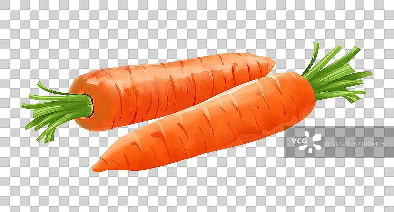 胡萝卜插画元素图片素材