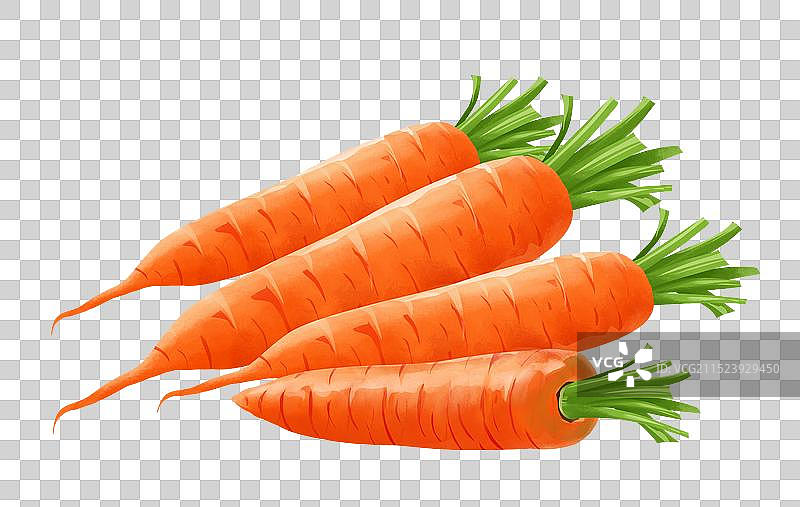 胡萝卜插画元素图片素材