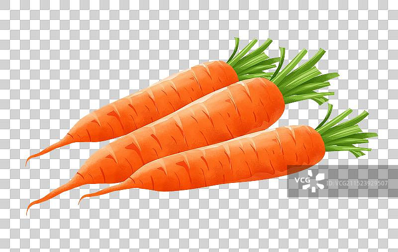 胡萝卜插画元素图片素材