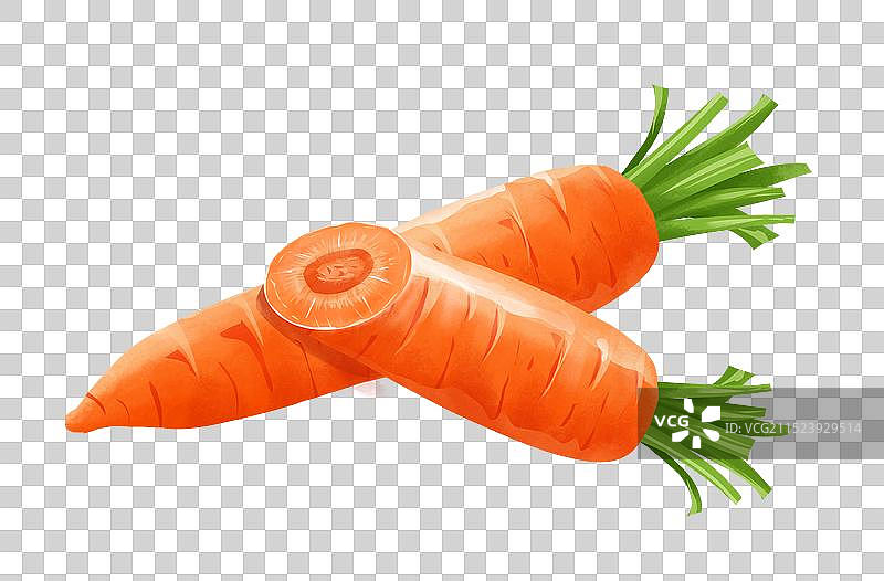 胡萝卜插画元素图片素材