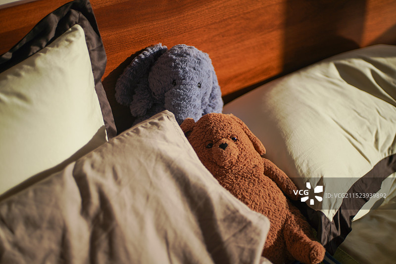阳光照在床上的枕头上的两个玩偶图片素材
