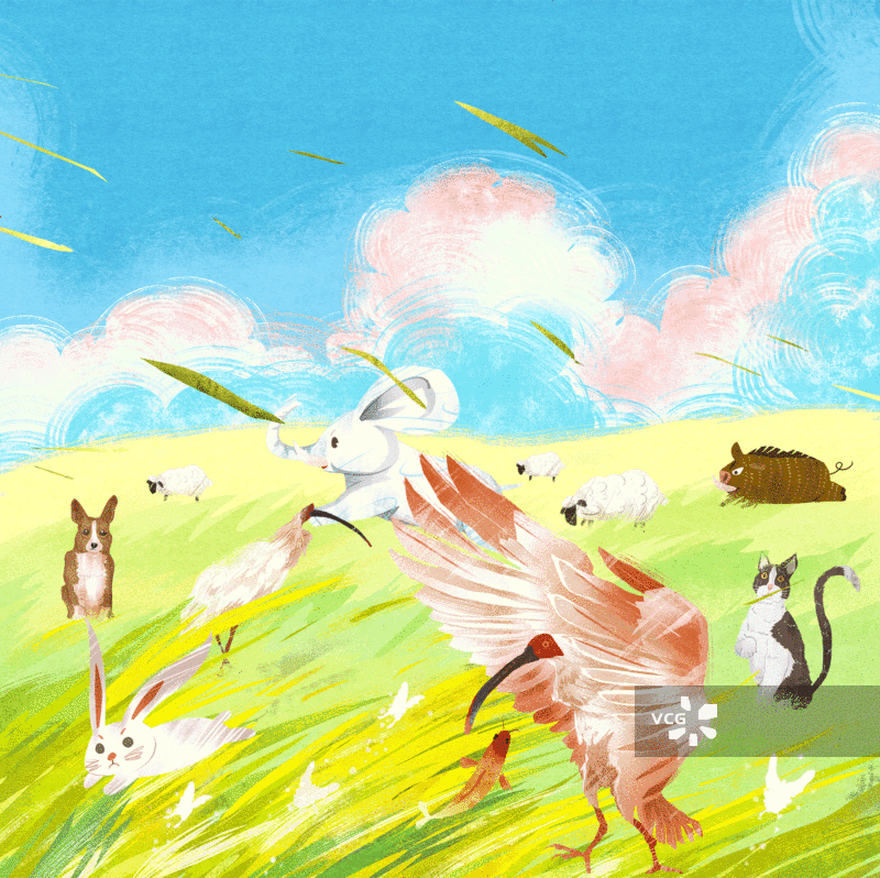 世界万物插画GIF动图图片素材