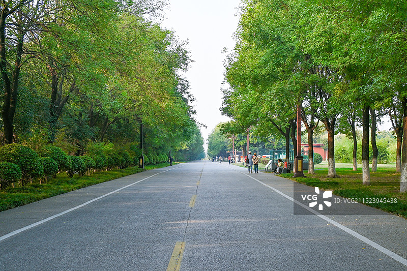 西安大明宫国家遗址公园风光图片素材