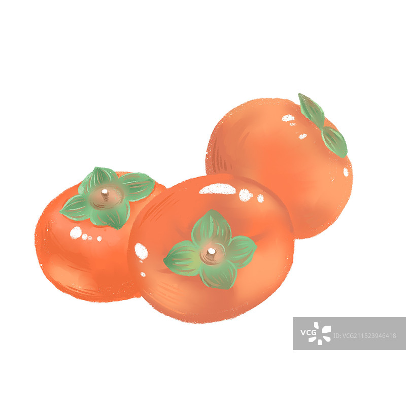 霜降红柿图片素材