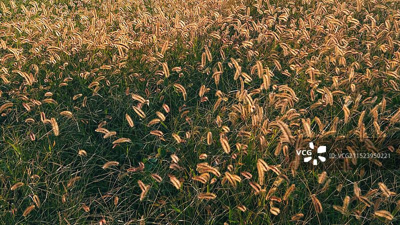 自展风华3图片素材