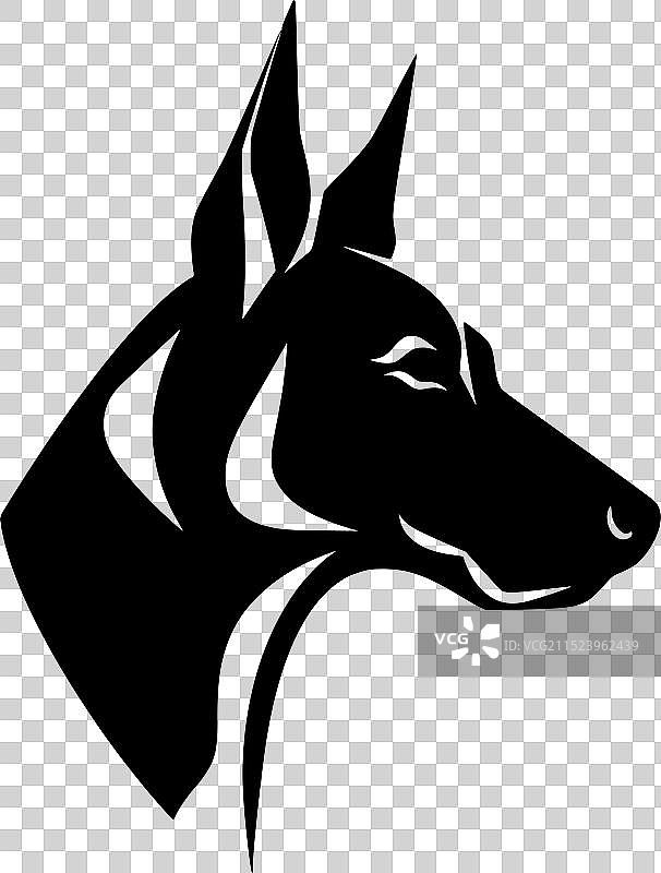 澳大利亚卡尔比犬 - 简约风格图片素材