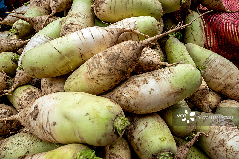 白萝卜青萝卜图片素材