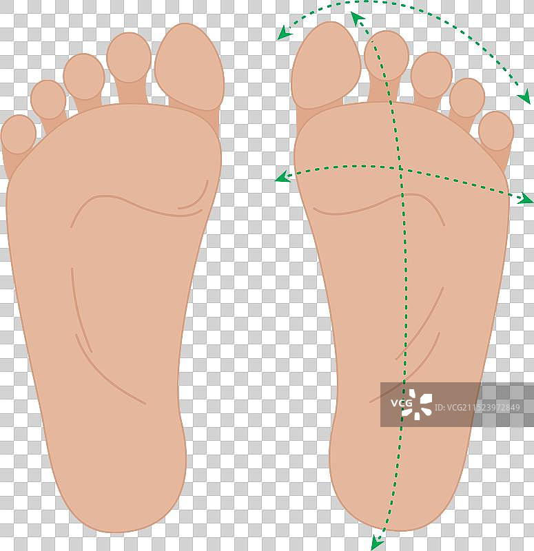 健康人类足部图片素材