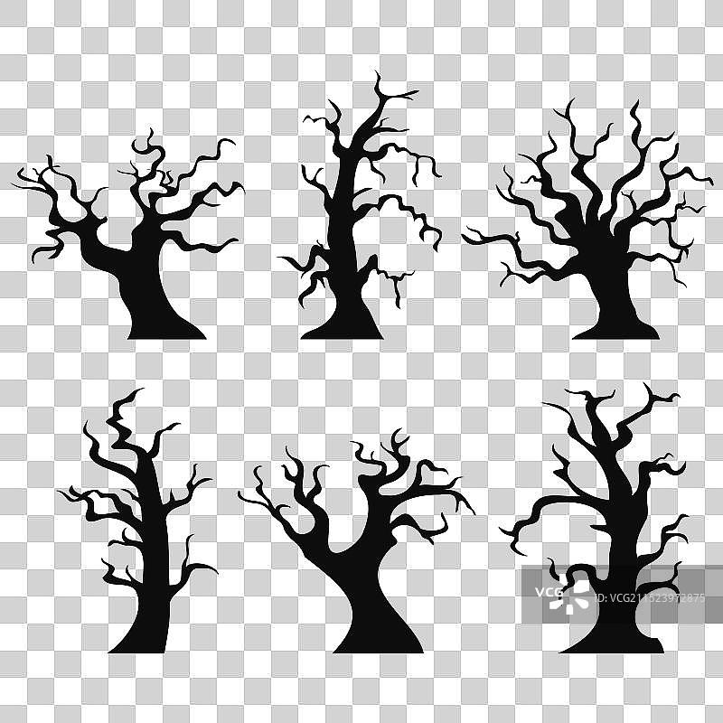 没有树叶的可怕树木的黑色轮廓图片素材
