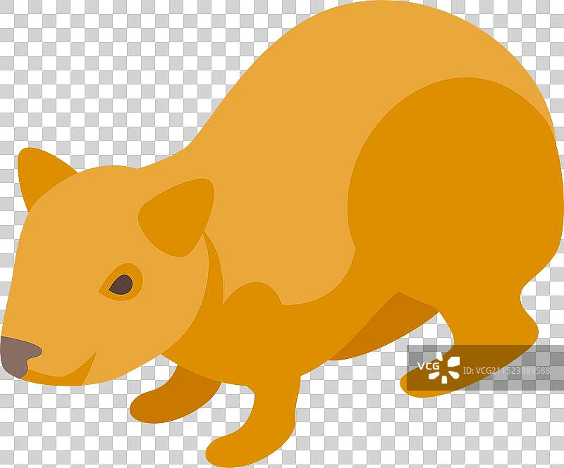 四脚站立的小袋熊2.5D视图图片素材