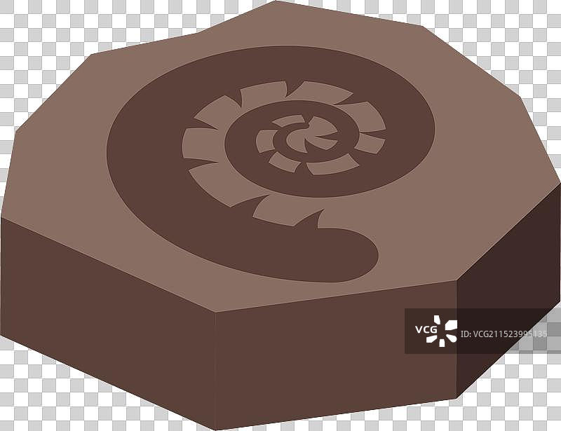 保存在石头中的菊石化石图片素材