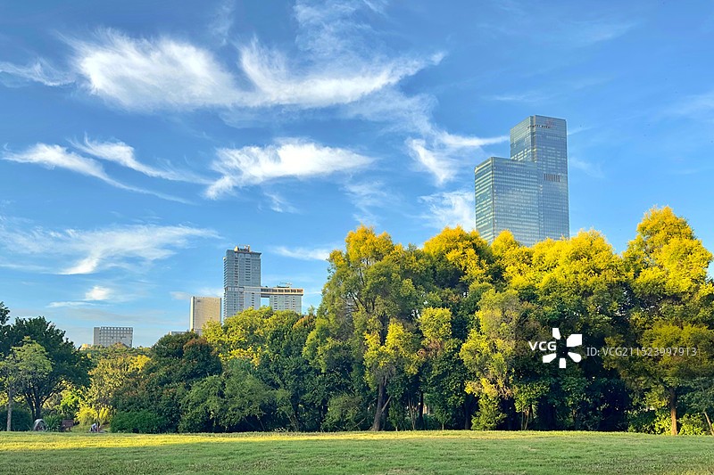 莲花山公园风光图片素材