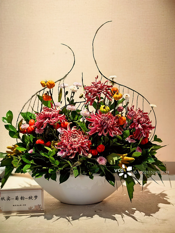 菊花盆景图片素材