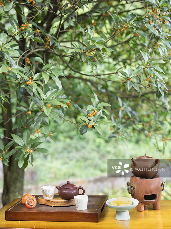 秋天桂花树下煮茶图片素材