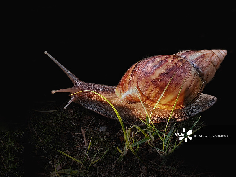 夜秋雨晓晨光图片素材