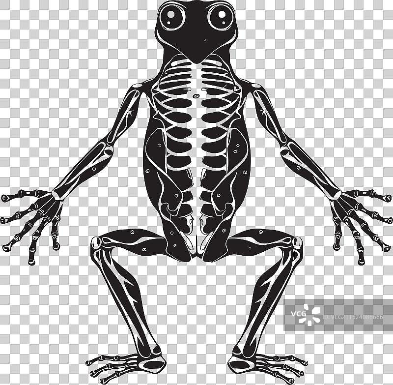 阴森恐怖的沼泽歌曲骷髅青蛙标志设计图片素材