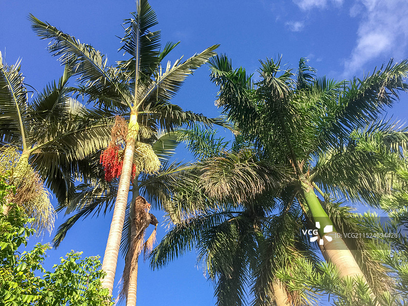 汕头市澄海区莲华乡村旅游区图片素材