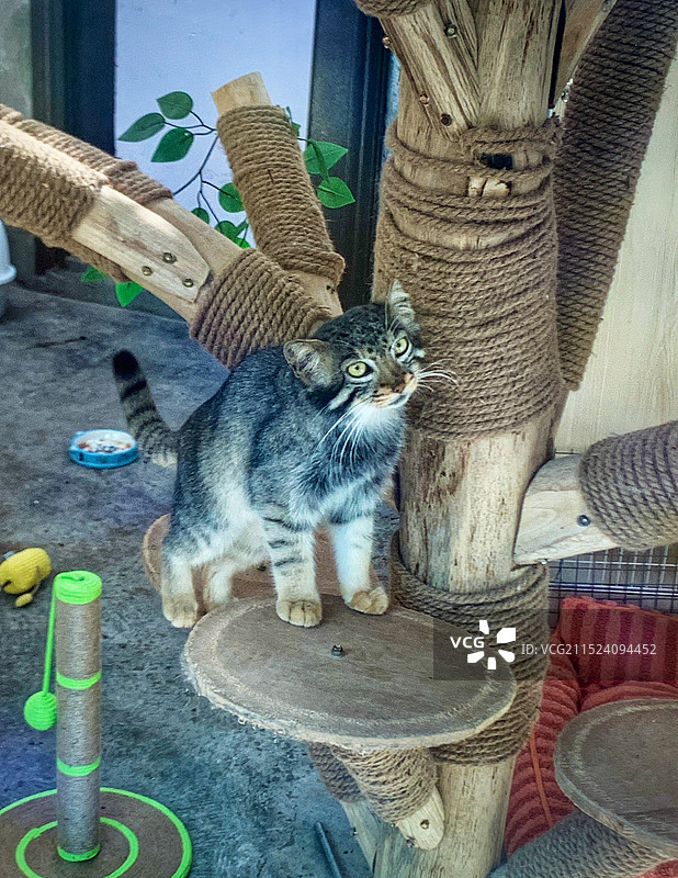 西宁青藏高原野生动物园图片素材