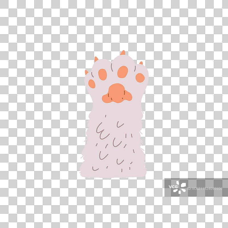 蓬松的白色小狗爪子图片素材