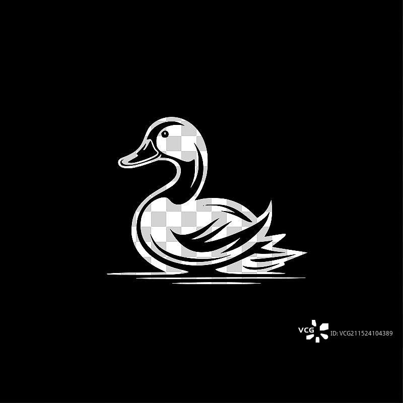 黑白鸭子图片素材