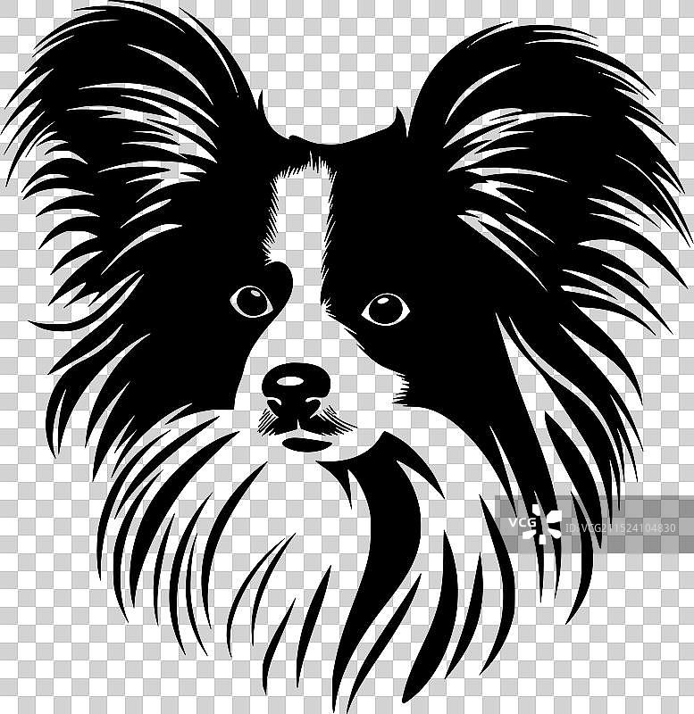 黑白蝴蝶犬图片素材