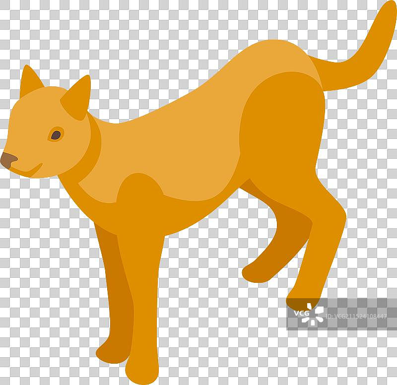 站在白色背景上的顽皮狗图片素材