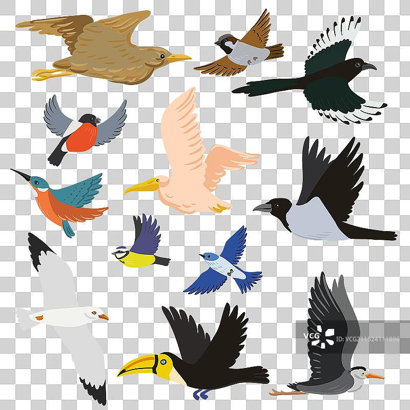 飞鸟手绘图案图片素材