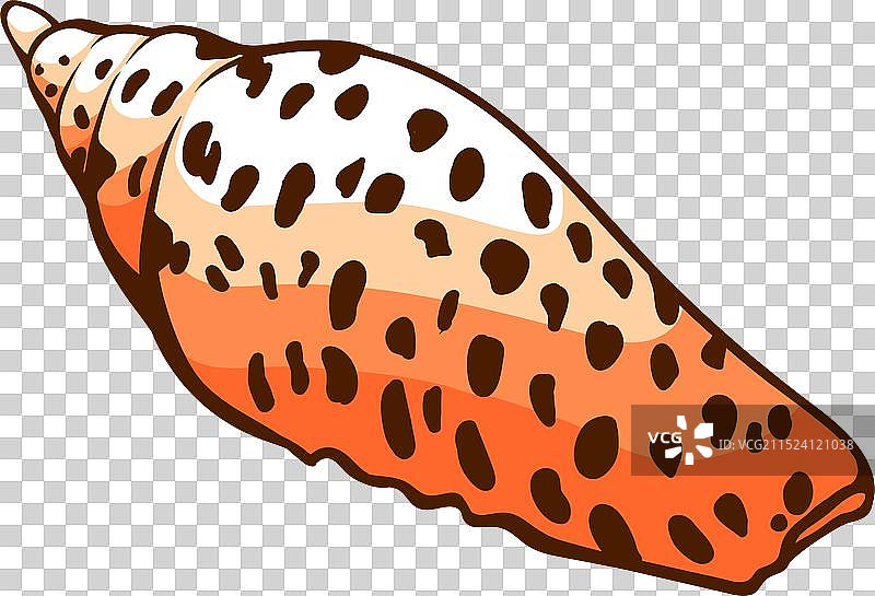 水下热带贝壳海洋卡通图片素材