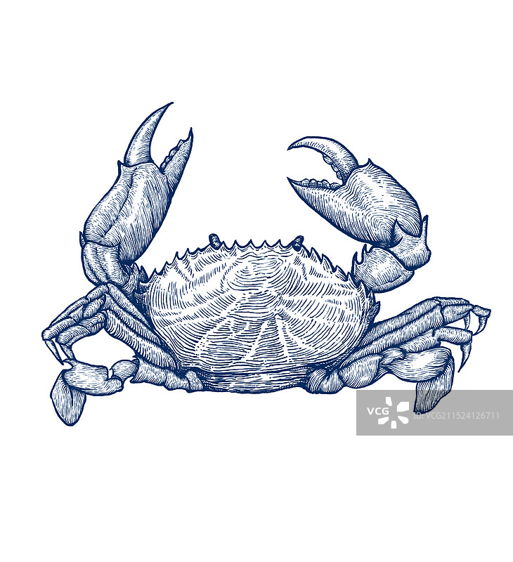螃蟹钢笔画木刻版画黑白插画图片素材