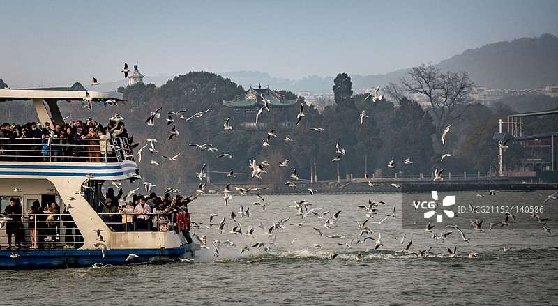 无锡·鼋头渚图片素材