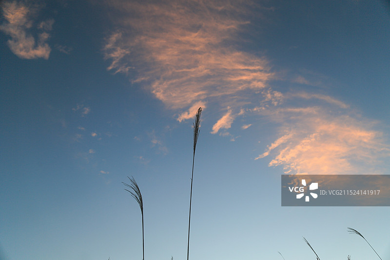天空的画卷图片素材