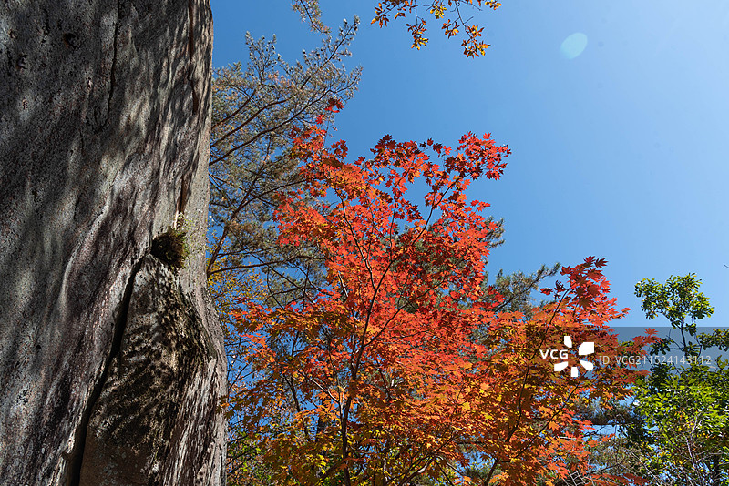 辽宁本溪桓仁枫林谷景区-红枫顶秋色图片素材