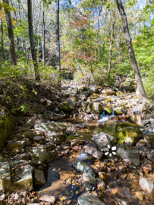 辽宁本溪桓仁枫林谷景区秋色图片素材