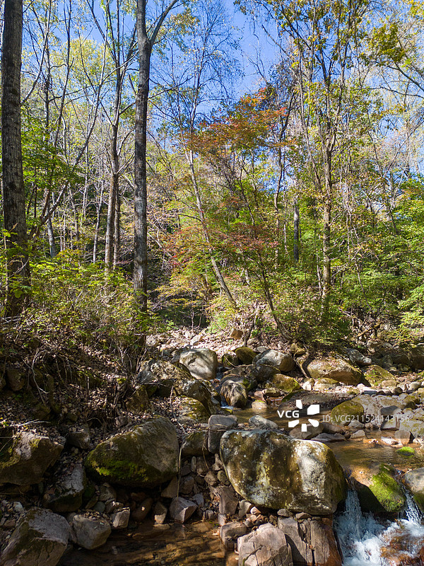 辽宁本溪桓仁枫林谷景区秋色图片素材