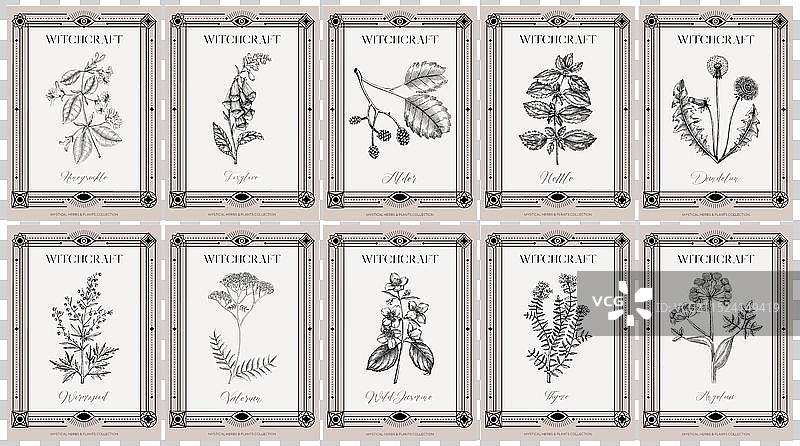 装饰艺术风格药剂师标签图片素材