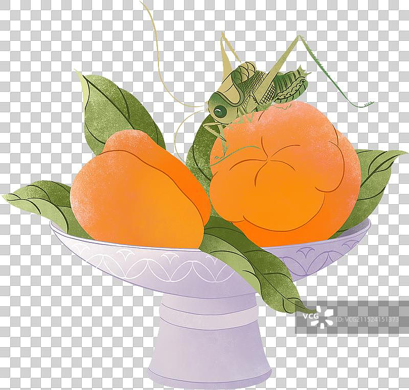 立秋霜降节气蝈蝈虫趣图秋虫柿子丰收秋天瓷器盘子果盘国潮国风手绘插画图片素材