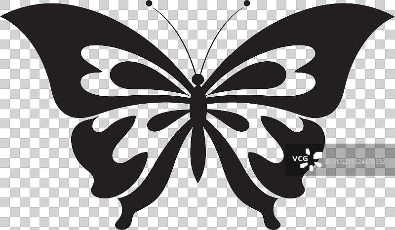 蝴蝶园艺艺术：稀有与濒危图片素材