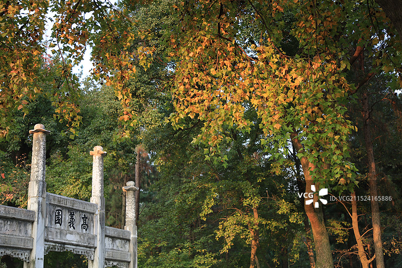 金色的秋叶苏州天平山古建筑牌坊局部特写图片素材
