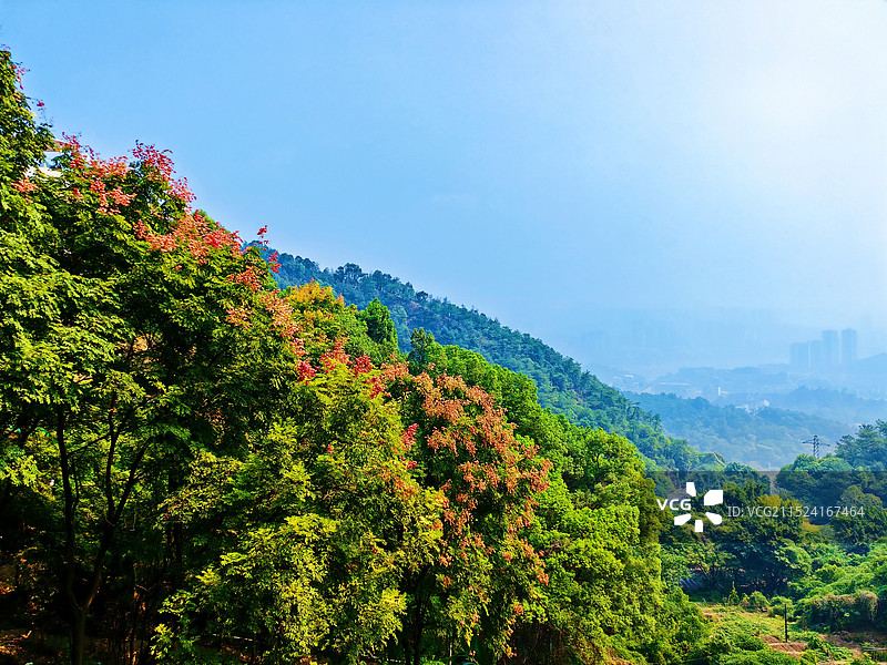 重庆歌乐山森林公园图片素材