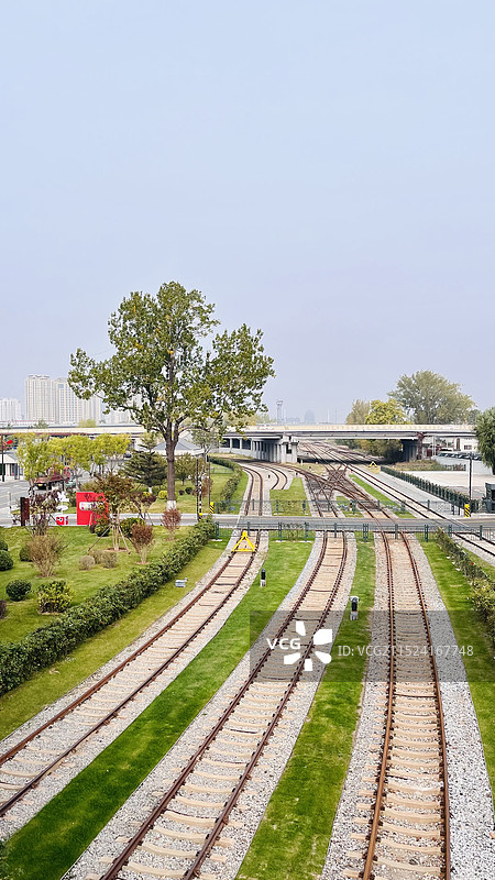 公园里的极致风景图片素材